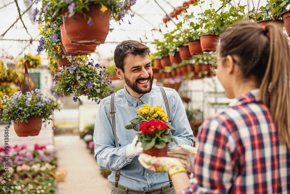 Two smiling entrepreneurs in love flirting and holding pots with flowers. All around are all sorts with colorful flowers. Hothouse interior.flower