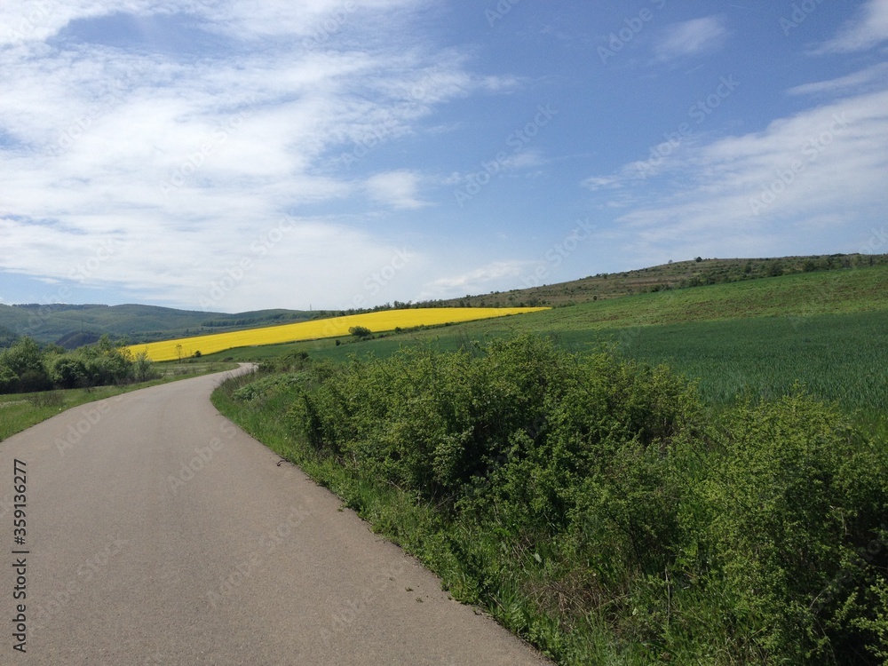 Obraz premium landscape