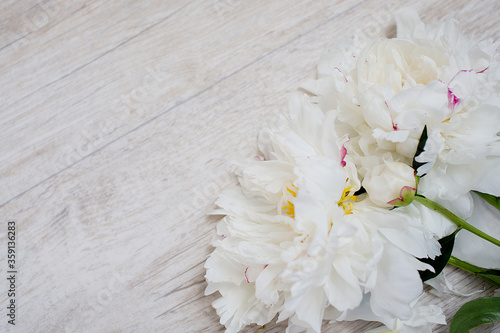 background with white peonies, flower background