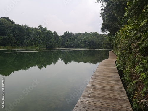 Wooden boardwalk trail close to water reservoir in Singapore 