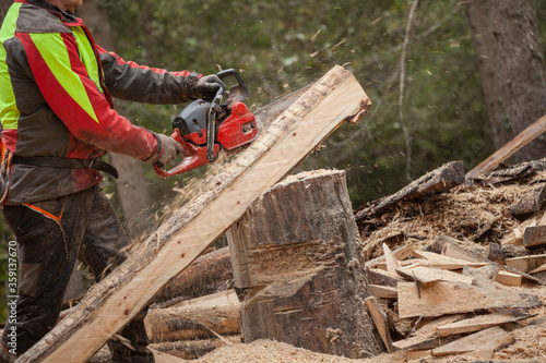 A lumberjack working safely with chainsaw and protection equipment inside an Italian forest