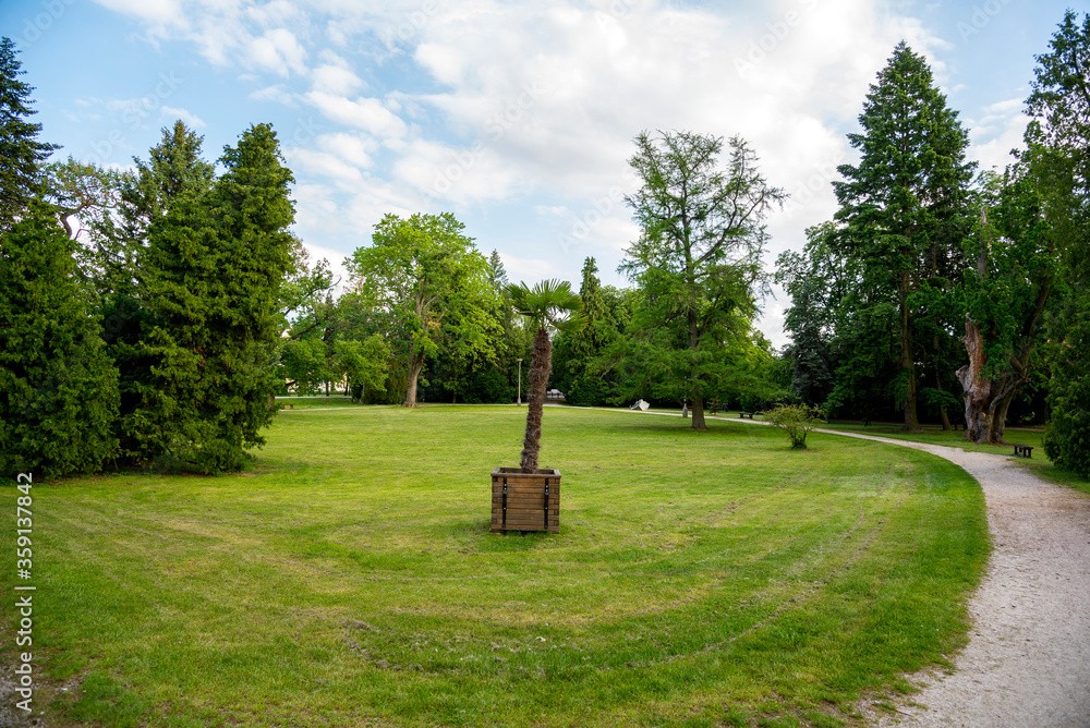 Fototapeta premium Park with mowed lawn in the summer