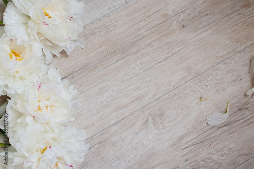 background with white peonies, flower background