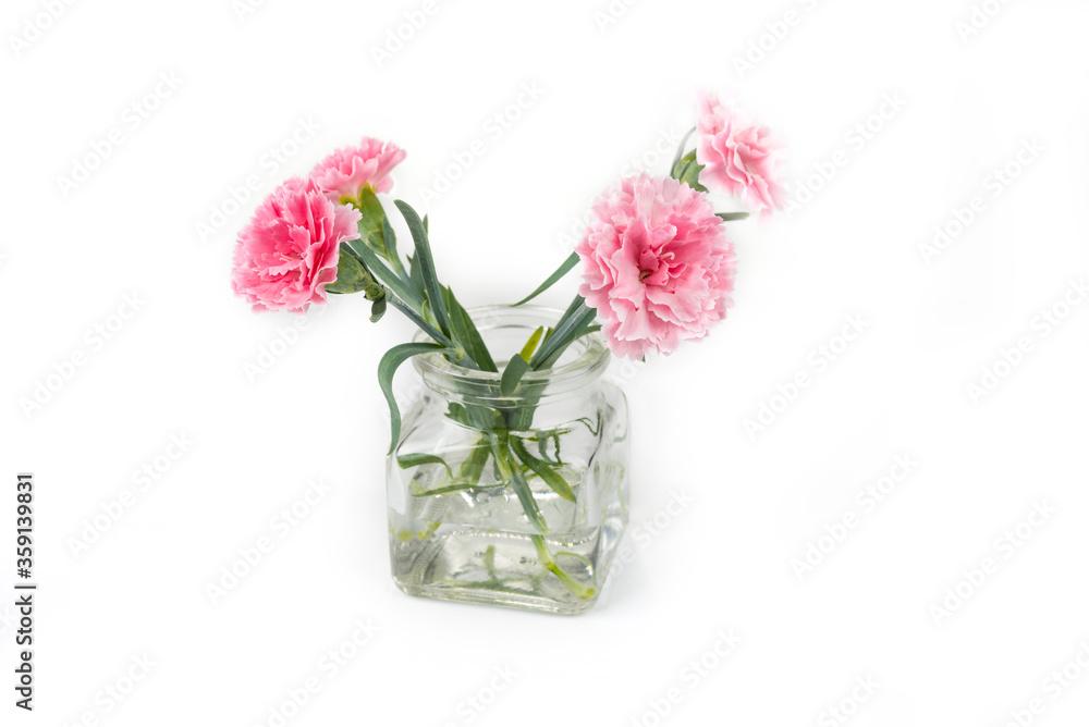custom made wallpaper toronto digitalCarnation flover in the vase on a white background. Dianthus caryophyllus.