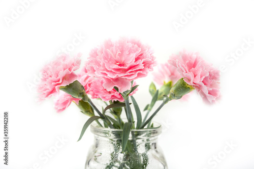 Carnation flover in the vase on a white background. Dianthus caryophyllus.
