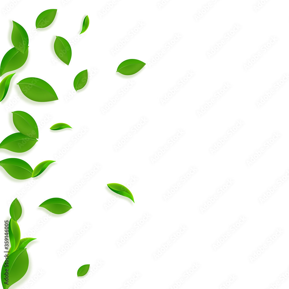 Falling green leaves. Fresh tea chaotic leaves fly