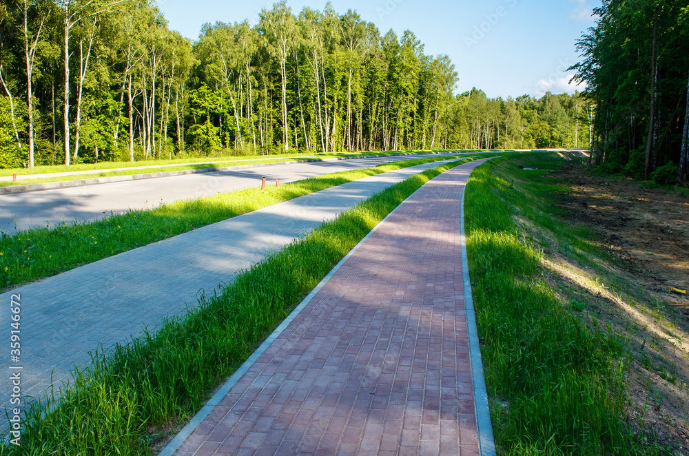 new modern road through the forest