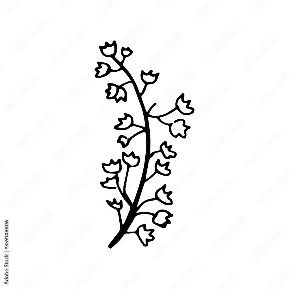Hand drawing flower and leaves branch