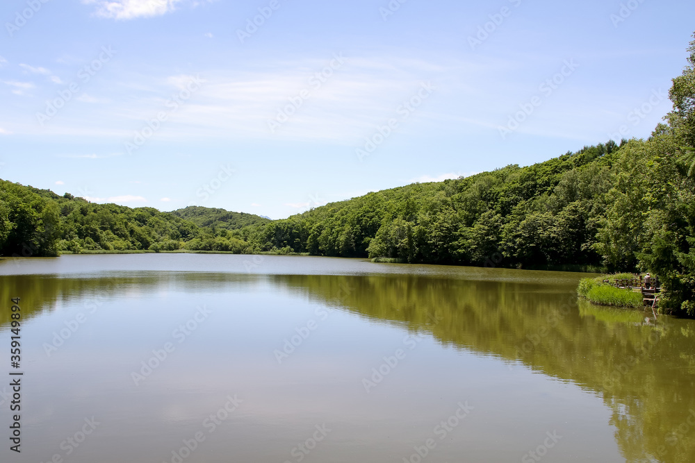 公園、池、貯水池、緑、自然、樹木、葉、植物、景色、湖、空、青空