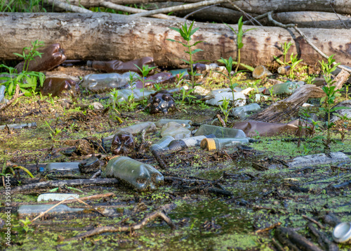 Canvas Print landscape with a view of the forest river reflection, old logs have fallen into