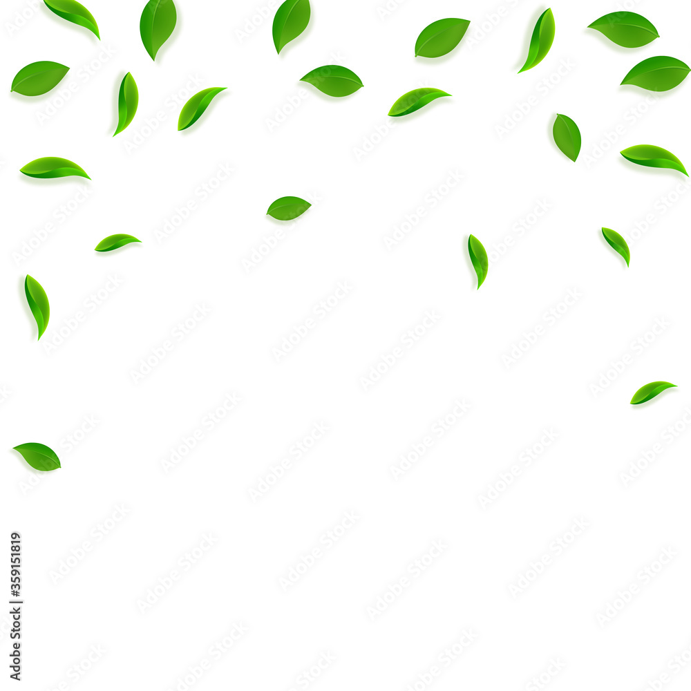 Falling green leaves. Fresh tea random leaves flyi Falling green leaves. Fresh tea random leaves flyi