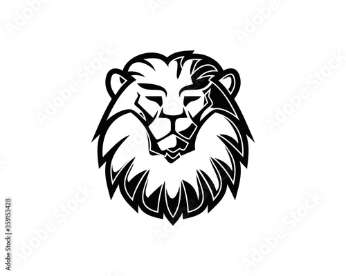 Lion head logo icon template 2