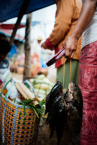 close up of woman's hands holding fish at myanmar market