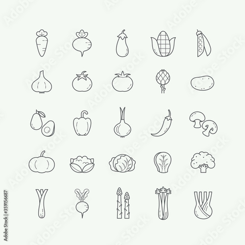 Vegetarian, vegetable, veggies thin line icons set. Vegetable line icons set, outline style.