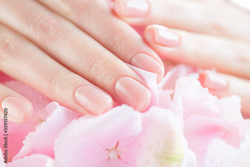 Beautiful Healthy nails. Manicure, Beautiful Woman's hands, Spa. Female hands with beautiful natural pink french elegant manicure. Soft skin, skincare concept. Salon, treatment
