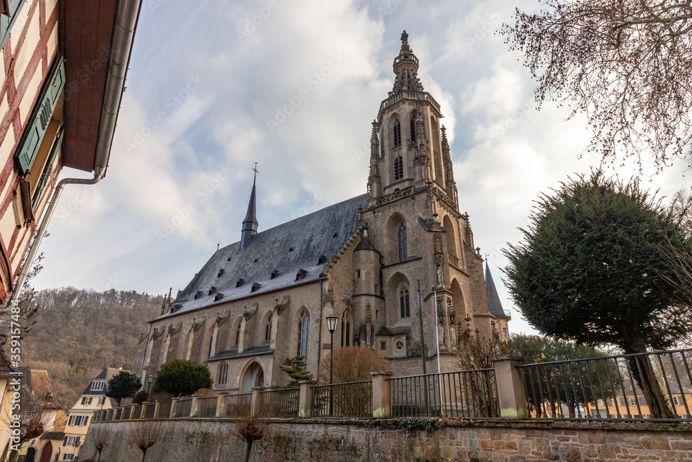 Obraz premium Wide angle view at the Schlosskirche in Meisenheim