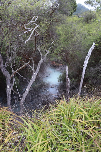 Geyser à Whakarewarewa, Nouvelle Zélande	 photo