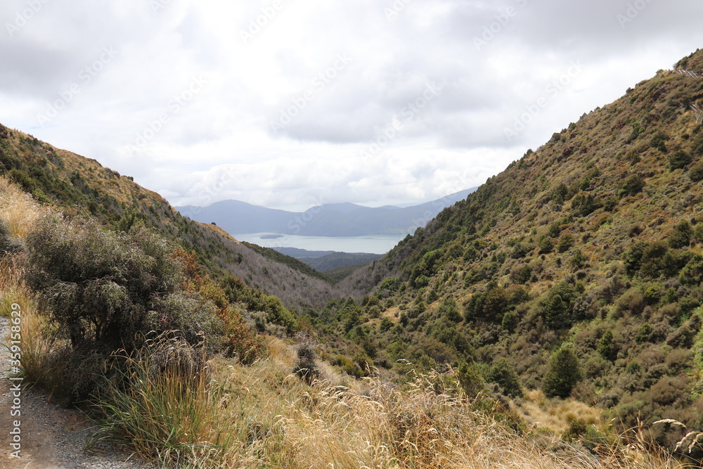 Fototapeta premium Vallée du parc Tongariro, Nouvelle Zélande