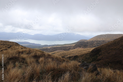 Lande du parc Tongariro, Nouvelle Zélande