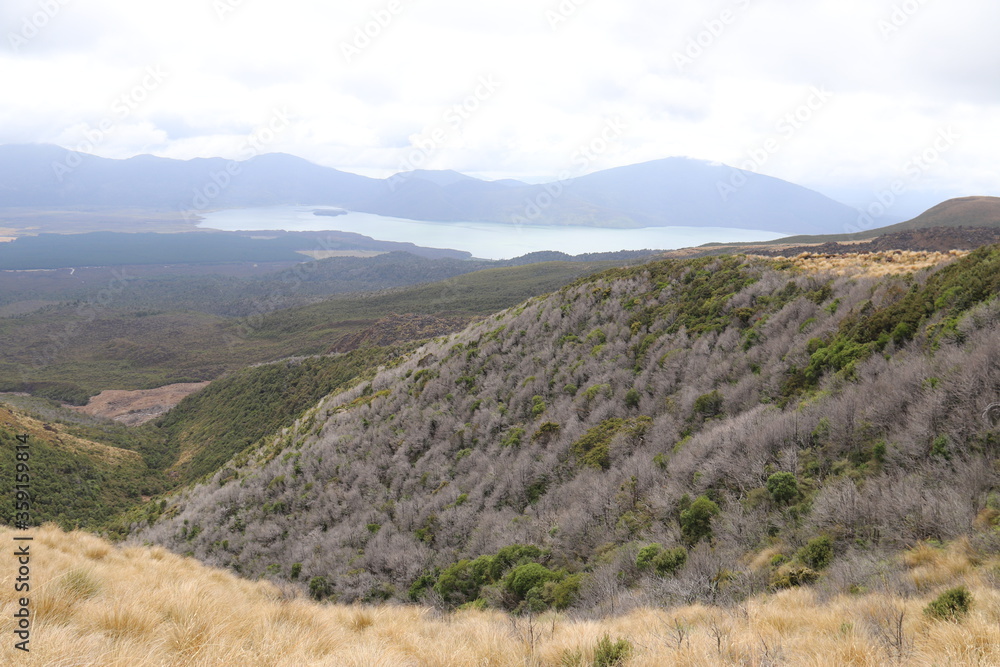 Lande du parc Tongariro, Nouvelle Zélande