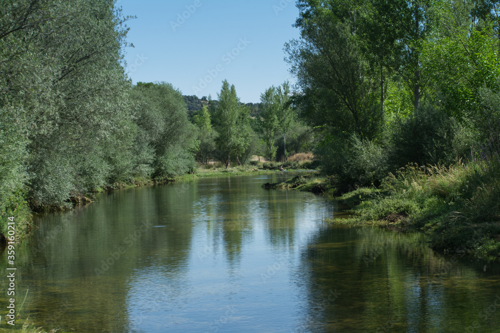 rzeka widok woda zieleń niebo