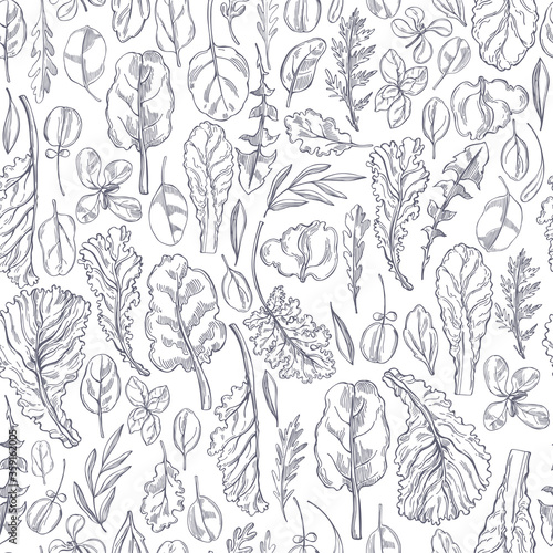 Hand drawn different kinds of lettuce on white background. Vector  seamless pattern