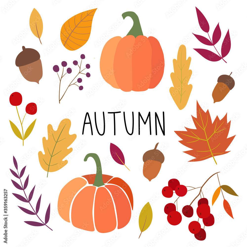 Autumn set. Vector autumn illustration. Autumn mood. Simple cartoon flat style. Hand drawn pumpkins, acorns, leaves and berries. Every illustration is isolated. 