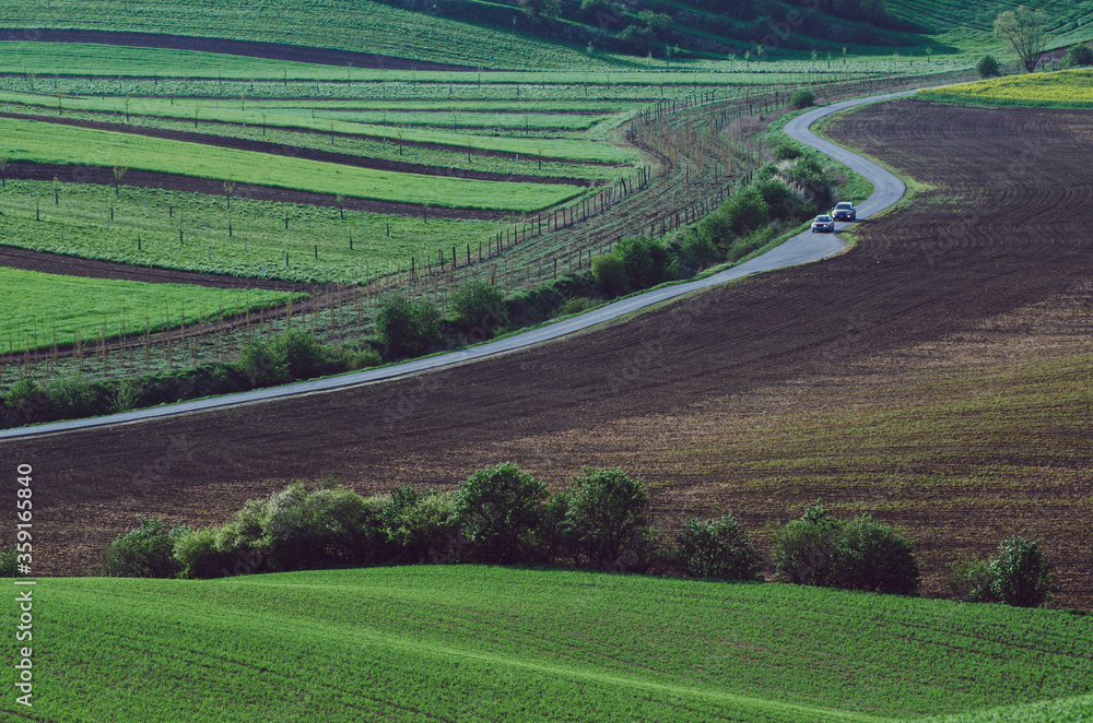 Rural landscape with road