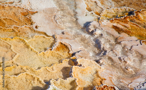 Mammoth hot springs photo