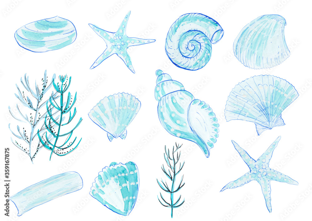 Turquoise watercolor sketch illustrations of sea shells, seaweeds and starfish. 