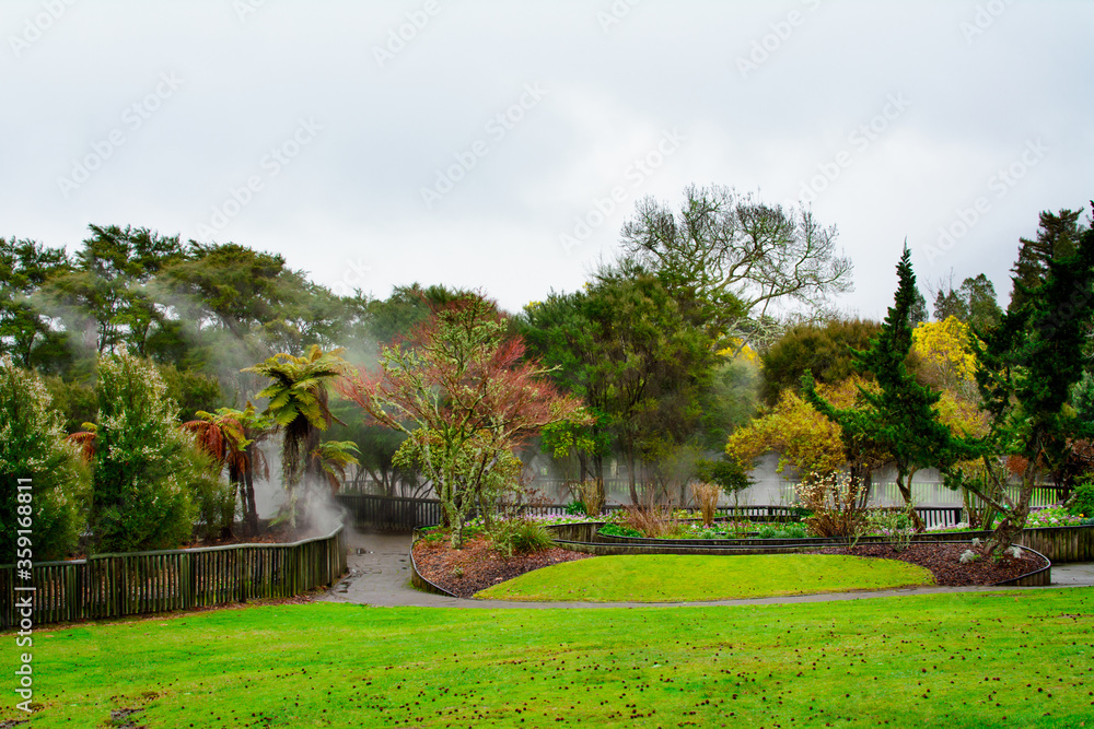 Colourful landscape of a rainy winter day at Kuirau Park. Steam is rising from natural hot pools hidden behind the trees