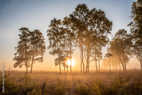 Wallpaper Mural sunrise in the morning Torontodigital.ca