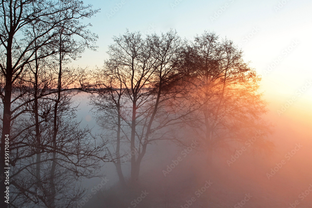 Morning with thick fog over the river. Dawn on a summer morning. Morning with thick fog over the river. Dawn on a summer morning.