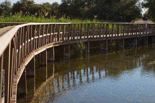 Wooden footbridge over a river. Tablas de Daimiel. Spain