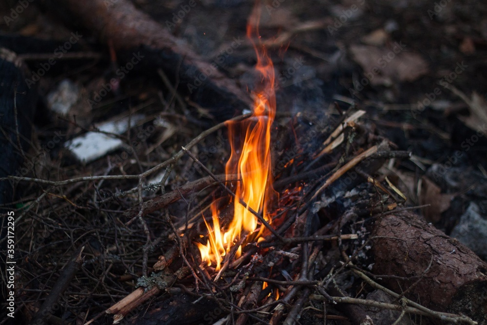 rest in the forest with a bonfire rest in the forest with a bonfire