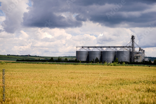  Cereal field with silos in the distance © gojalia