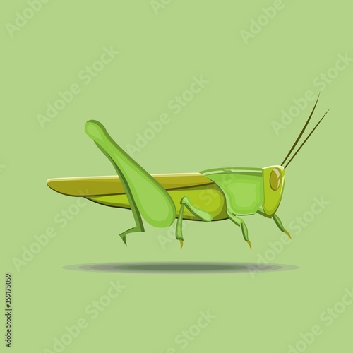 This is an illustration of a locust,