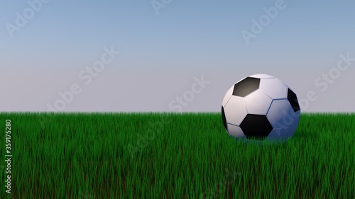 Soccer ball on a grass  3d render illustration