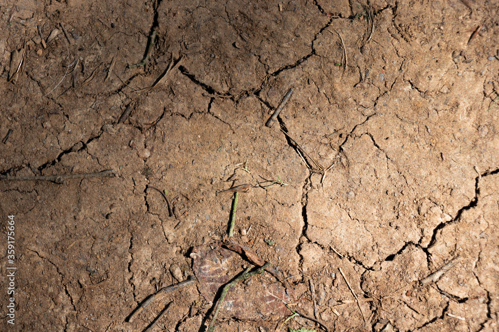 Fototapeta premium Nature