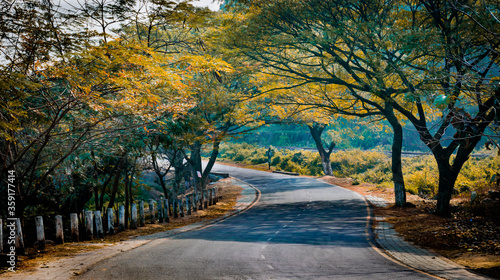 road in autumn