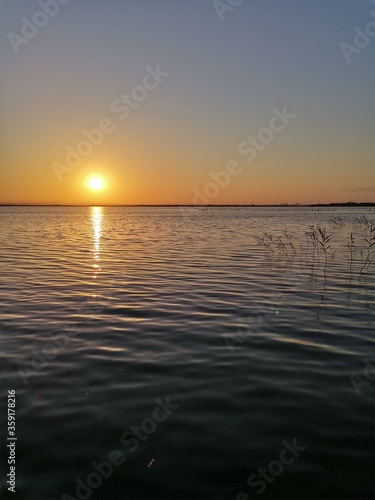 Zen sunset in Valencia's albufera 