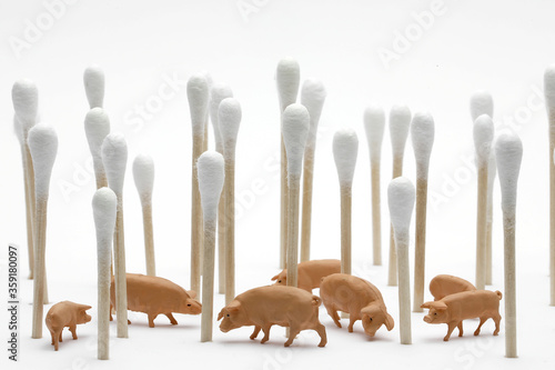 Schweine im Wattestäbchenwald