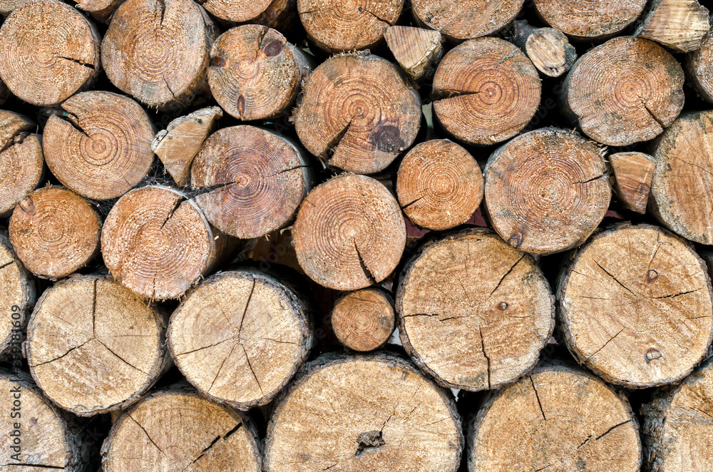 many wooden logs trunks close up many wooden logs trunks close up