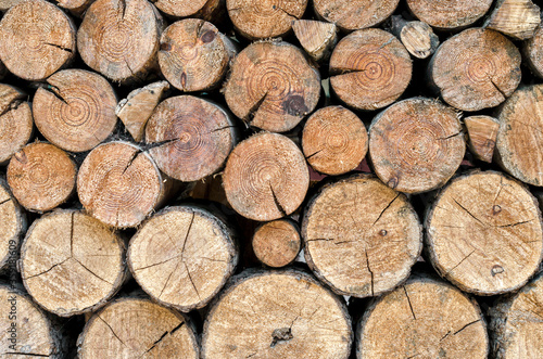 many wooden logs trunks close up