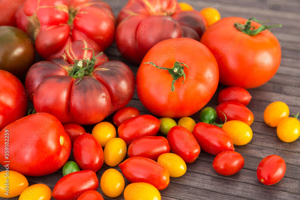 different varieties of ripe red and yellow appetizing tomatoes different varieties of ripe red and yellow appetizing tomatoes