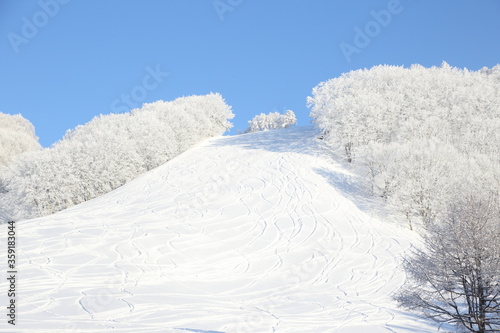 スノーリゾート
