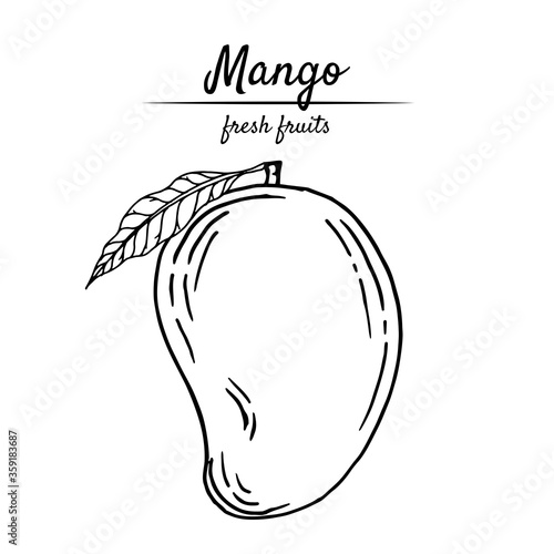 Black-white vector illustration of tropical mango fruit on a white background. Hand-drawn in retro style. For menus, restaurants, brochures, decor of healthy food items.