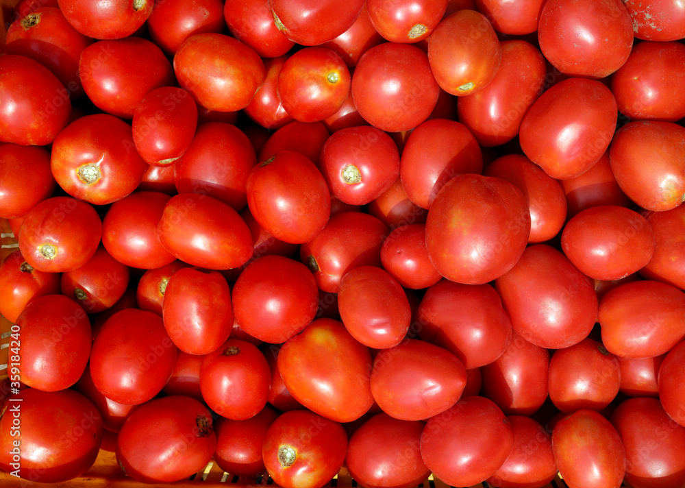 tomatoes on market stall tomatoes on market stall