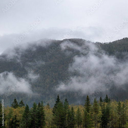 Clouds on forest in Norway mountains. Autumn travel wild nature. Foggy scandinavia cloudy trees