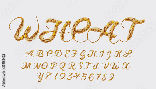 Wheat style font design, alphabet letters and numbers, AI CS6 vector.